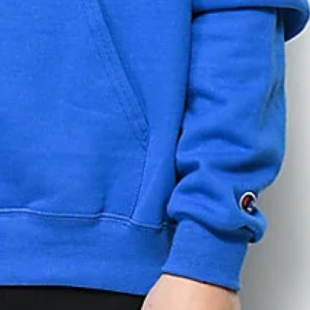 Champion WTB Earl Men’s Small Blue Hoodie, Teen Back To School, VGUC - Picture 6 of 8